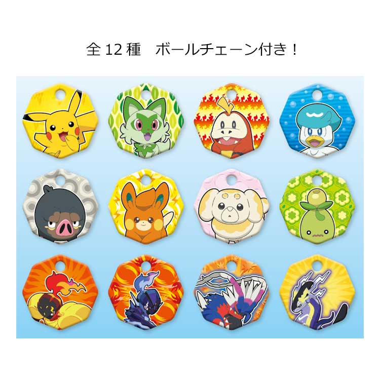 ポケモンメタルポケットフォルダー Pokémon pokemon Pokémon ポケモン