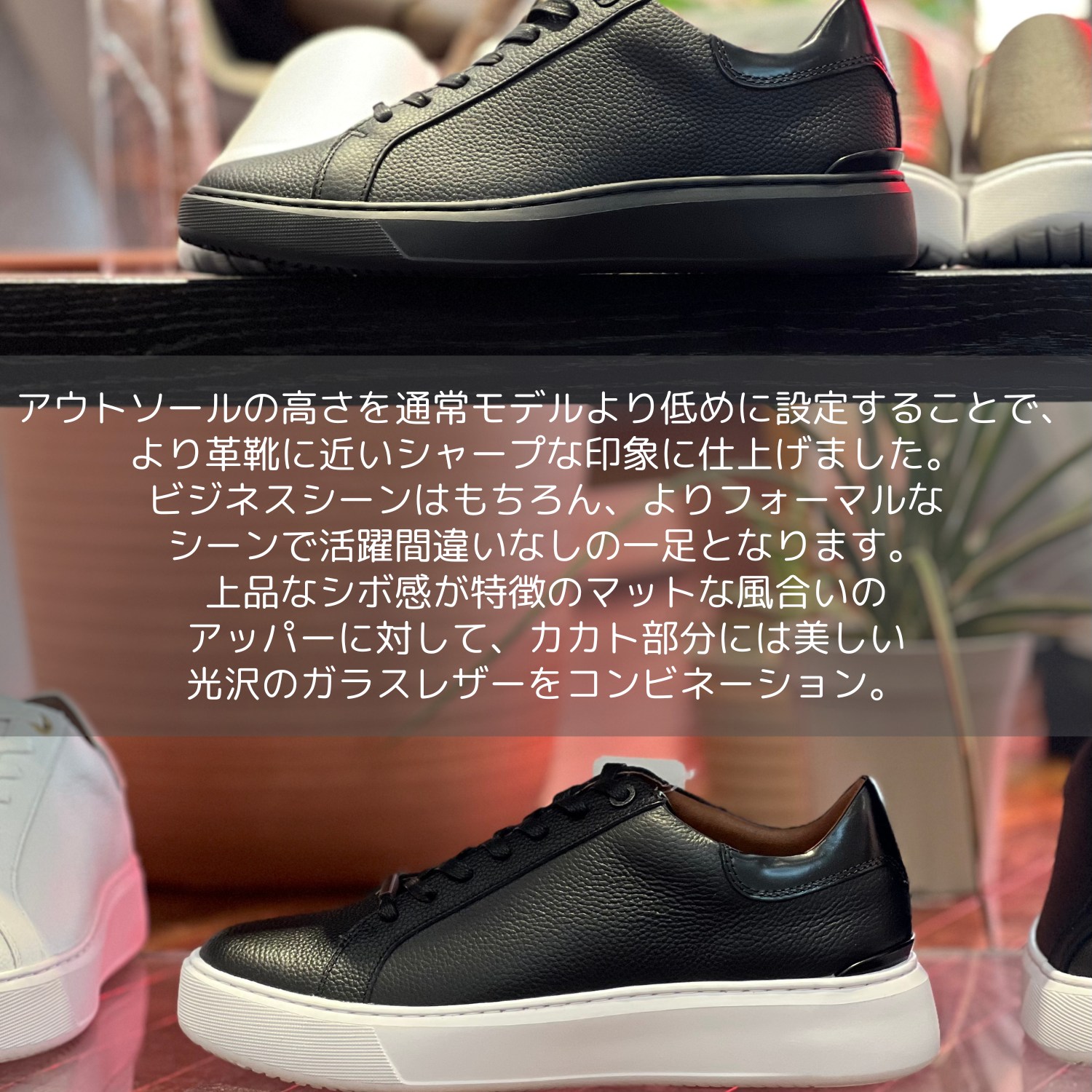 楽天市場】AOURE アウール DEVICE1 NERO デバイスワン ネロ レース