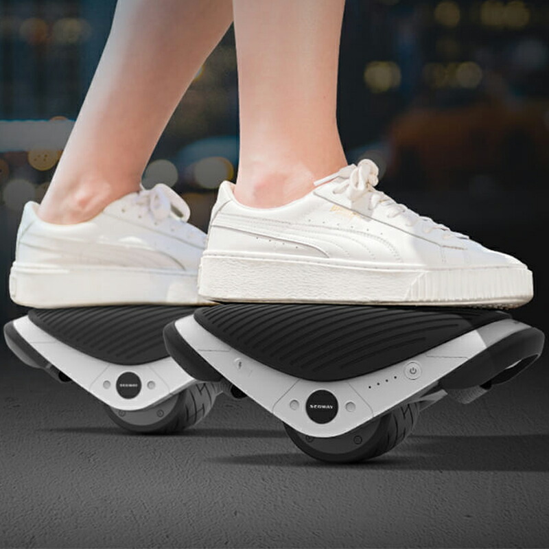 楽天市場】【avexも利用】「Segway-Ninebot Japan」「消耗品も一年で