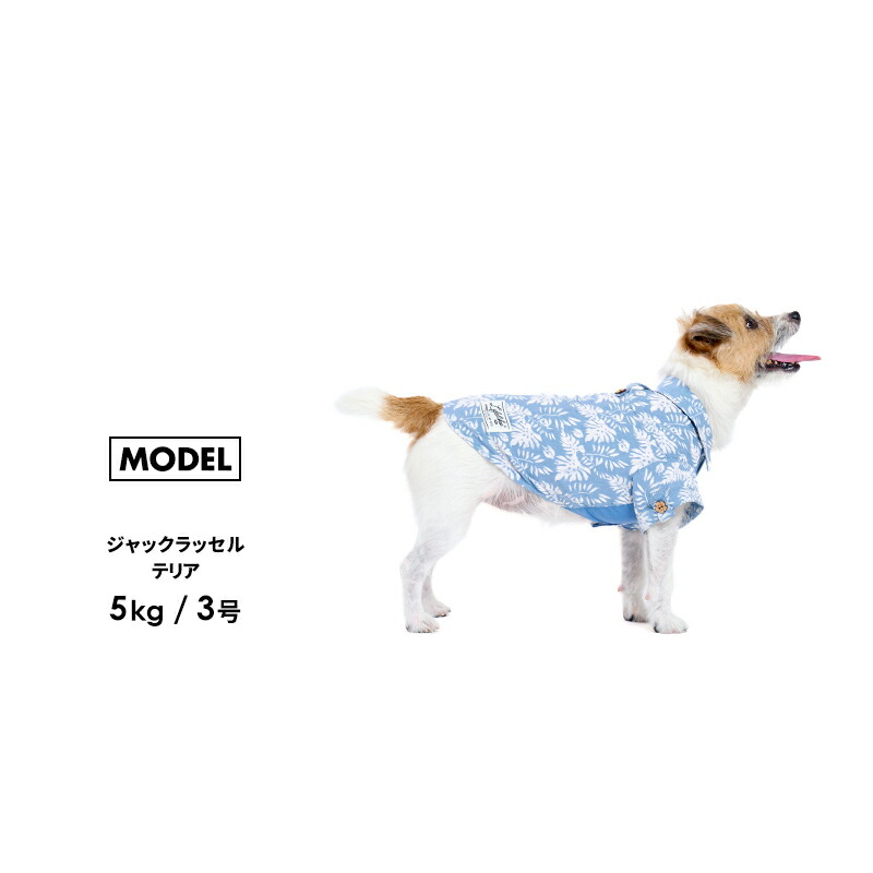 楽天市場】【リゾートアロハ1-5号2L-3L】ドッグウェア シャツ 袖 小型