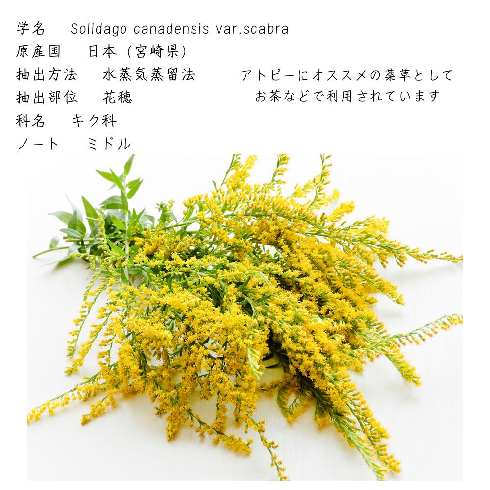楽天市場】精油 食品添加物 背高泡立草 5ml穂花300本分 和精油 1.5ml