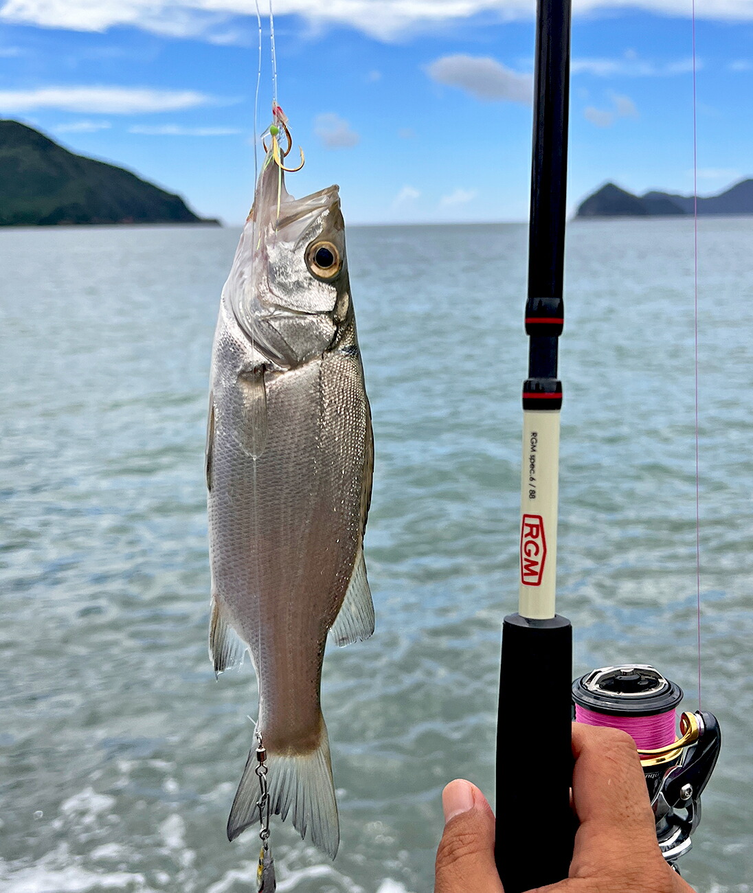 楽天市場】RGM ROOSTER GEAR MARKET JACKALL ジャッカルspec.6 / 69