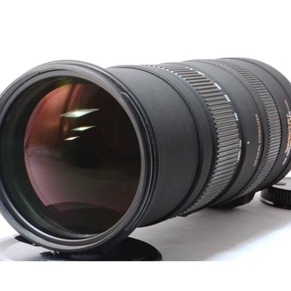 楽天市場】sigma apo 150-500 5-6.3 dg os hsmの通販