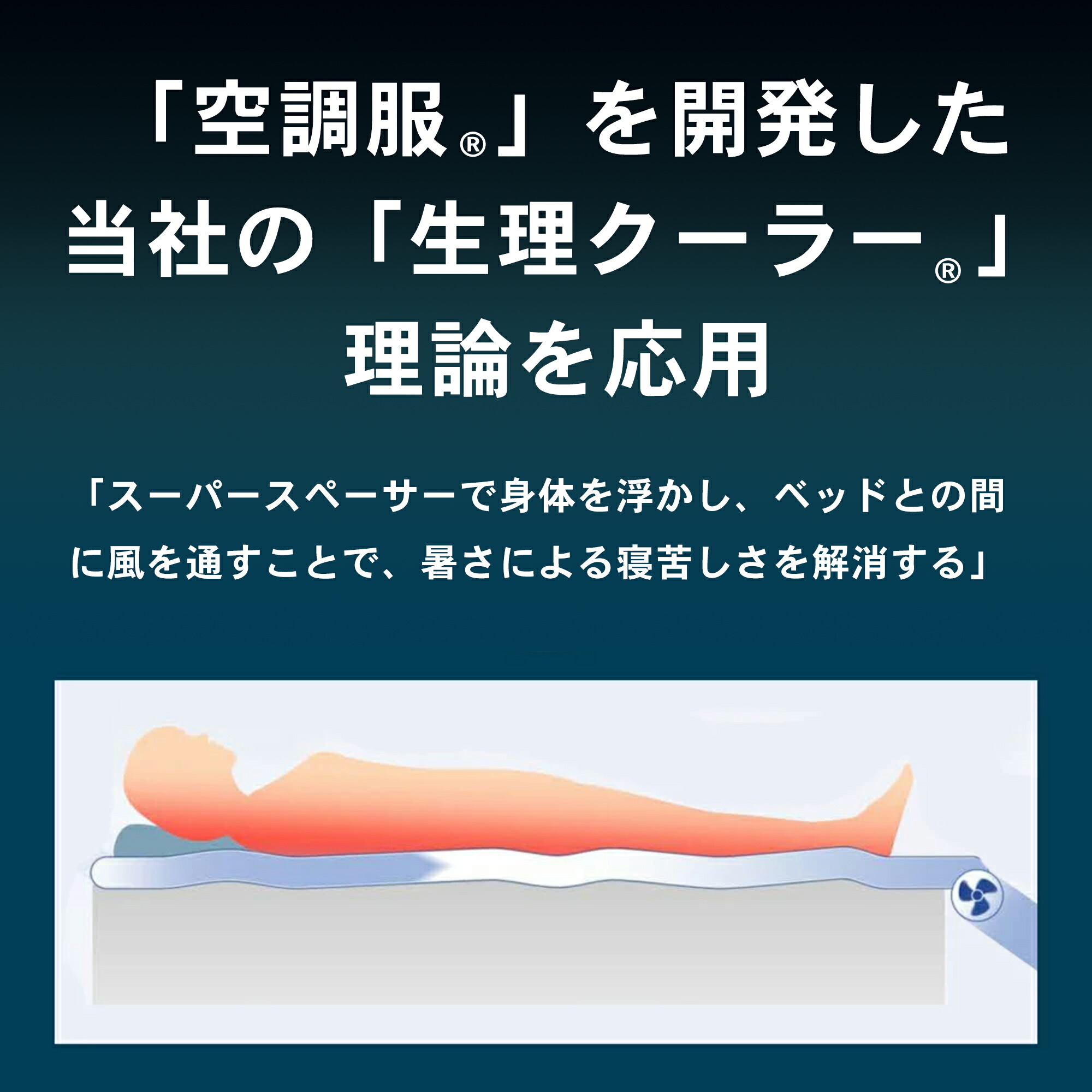 楽天市場】空調ベッド(R)風眠 シングル 専用シーツ付き KBTS03 : 株式