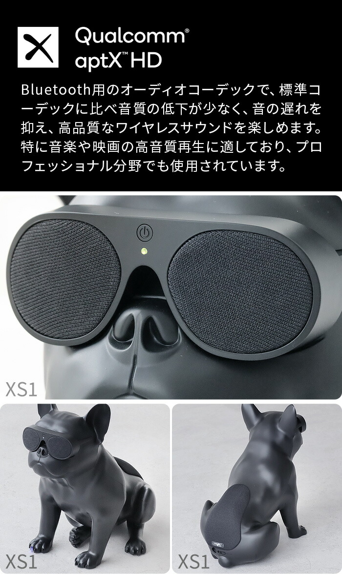 楽天市場】【特典付】正規品 エアロブル Aerobull XS 1 ポータブル