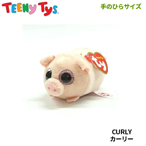楽天市場】【TY】 俵型ぬいぐるみ 【TEENy Tys】 CURLY カーリー
