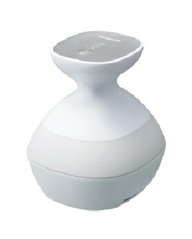 楽天市場】Panasonic（パナソニック） 頭皮エステ サロンタッチタイプ