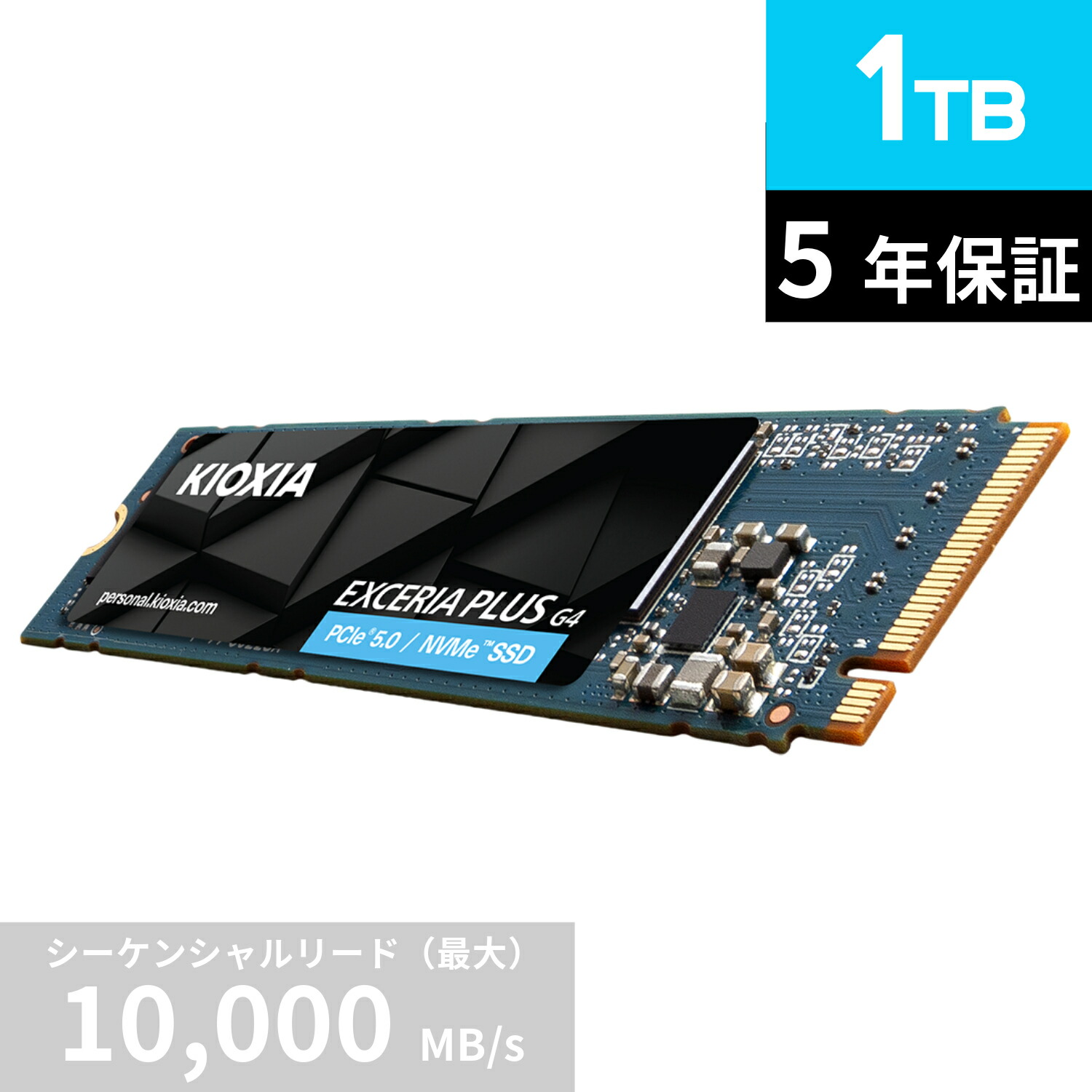 kioxia m.2 ssd 2tb」の人気商品一覧 | 安い商品を通販サイトから探す