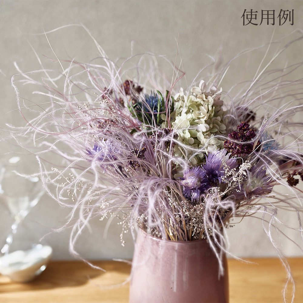 楽天市場】ドライフラワー 花材 とりよせ品 フェザーグラス 花材 素材