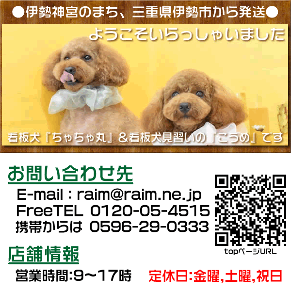 楽天市場】掛け軸【釈迦名号：南無釈迦牟尼佛/21E2-087】丈190cm×幅