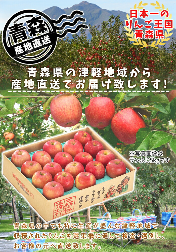 楽天市場】数量限定! 青森県産 りんご サンふじ 王林 詰合せ 訳あり