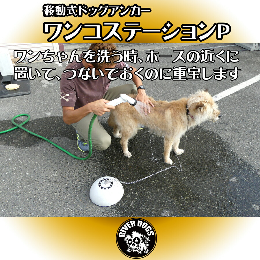 楽天市場】ワンコステーションP 【RD-WSP-1】[アウトドア 係留 犬用