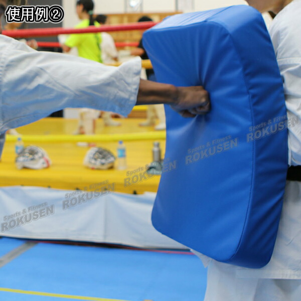 楽天市場】【ISAMI・イサミ】ビッグミット マリンブルーミットLL SD