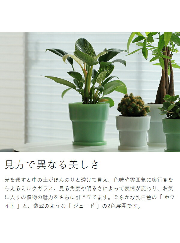 楽天市場】植木鉢 4号 ミルクガラス プランター イデアコ 鉢植え 4号鉢