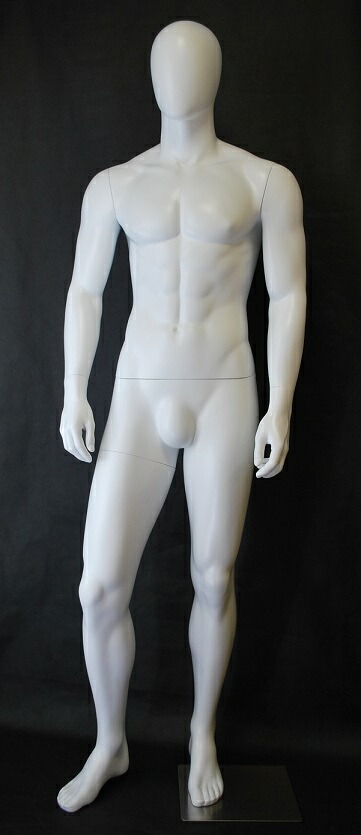 楽天市場】男性全身 マネキン リアルボディ 白つやけし 安価 高品質