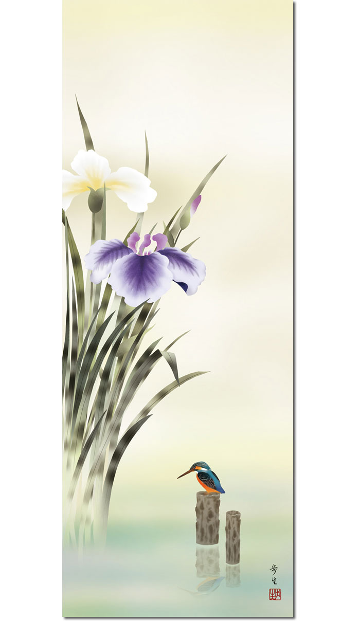 楽天市場】掛け軸 掛軸 菖蒲 しょうぶ 幅54.5×高さ約190cm 北山歩生 尺