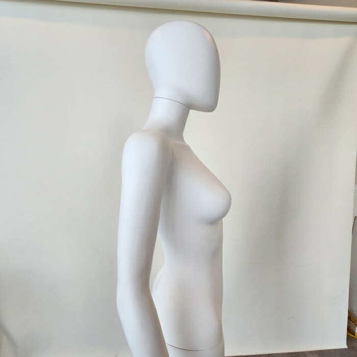 楽天市場】【5%OFFクーポン有り！2月25日限り】【業務用】PP製 婦人