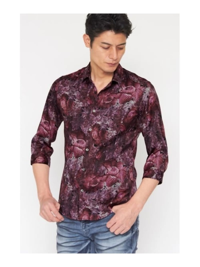 楽天市場】【SALE／30%OFF】TORNADO MART TORNADO MART∴ラフレシア