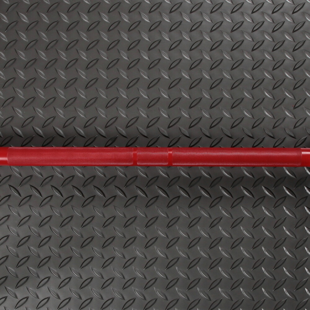 楽天市場】【2/25はポイントアップデー】IROTEC（アイロテック