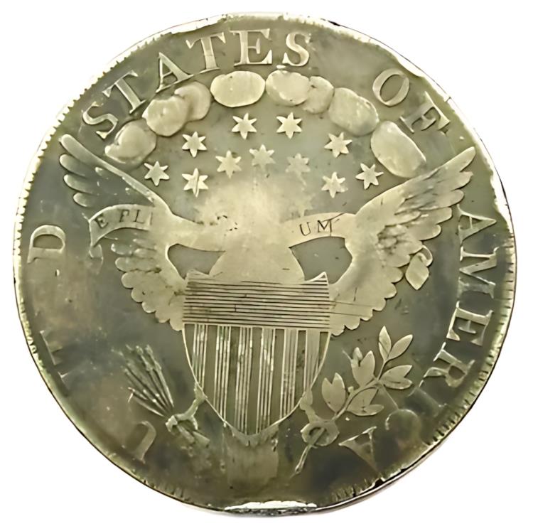楽天市場】1798 ドレープ バスト シルバー 1 ドル コイン - 細かい