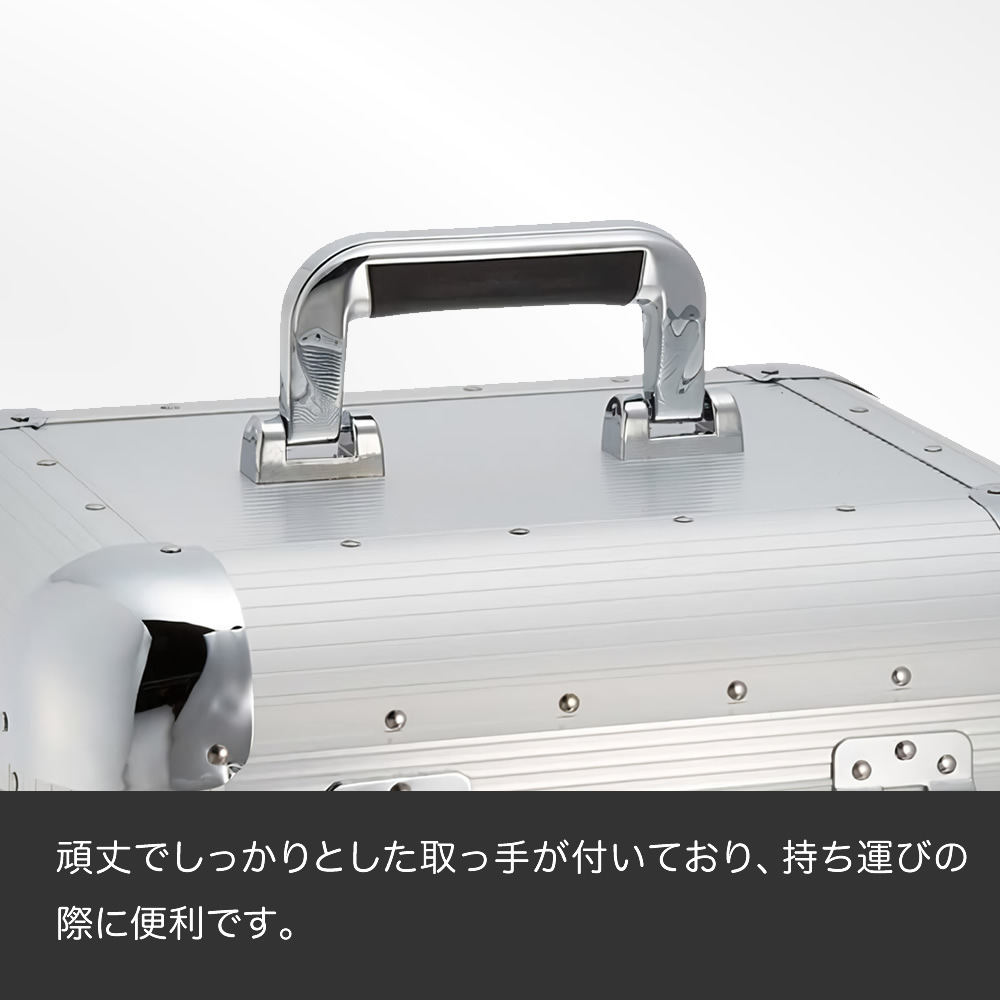 楽天市場】KC レコードケース LP盤用 約50枚収納 LPC-120/SV シルバー