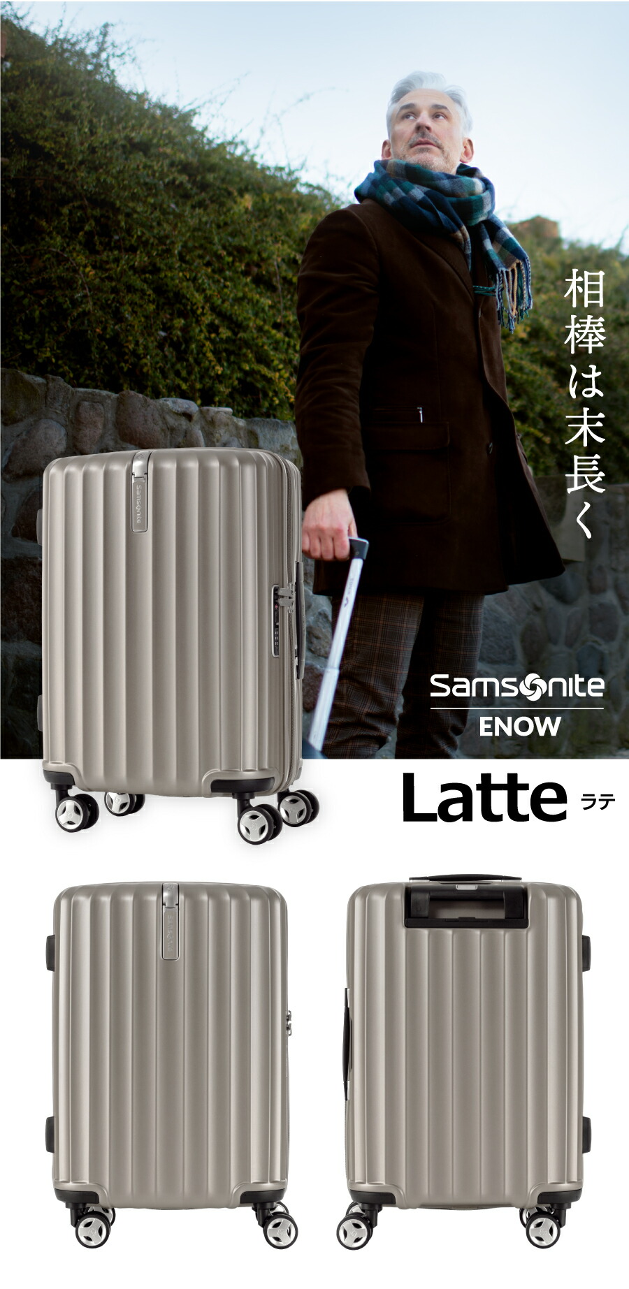 楽天市場】【24時間限定】対象P10倍☆1日0:00-23:59≪公式店