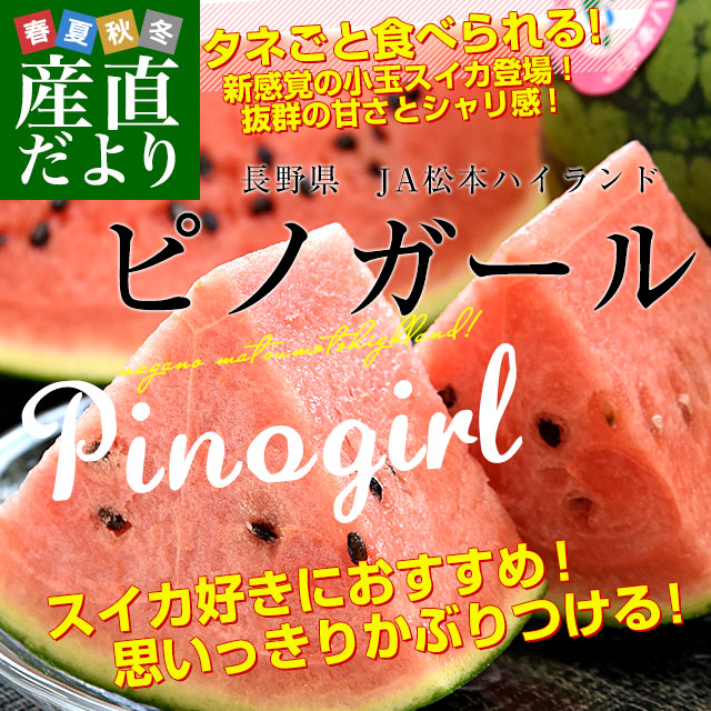 新品 ぐちぽっぷ165 スイカカラー 新品 ぐちぽっぷ165 スイカカラー