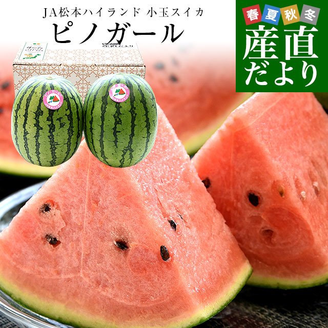 楽天市場】長野県産 JA松本ハイランド ピノガール (小玉スイカ) A品 3L
