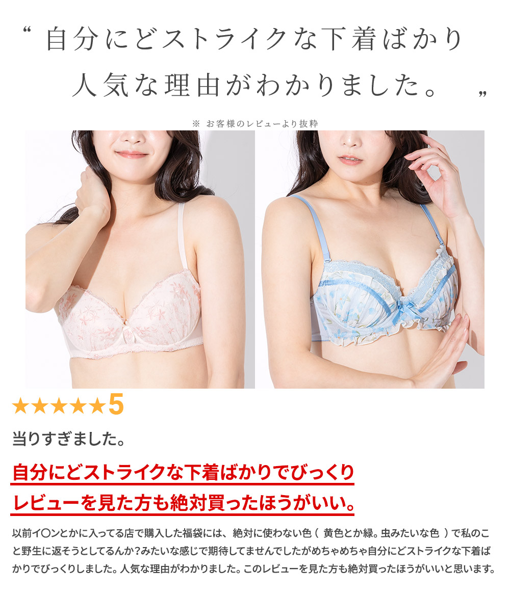 楽天市場】【選べるブラセット☆3・5・10点タイプ】ブラジャー