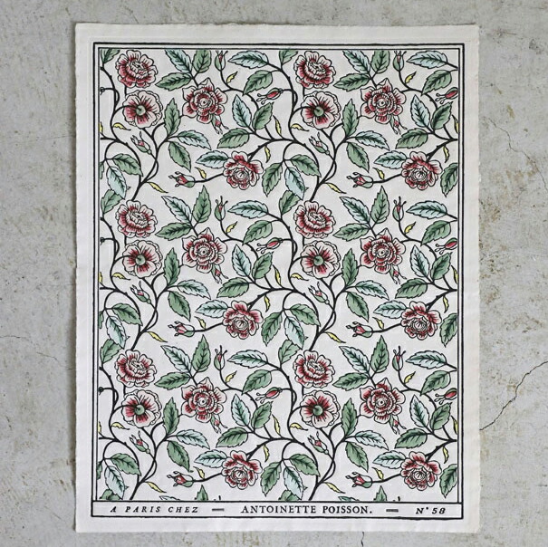 楽天市場】ドミノペーパー 58A Antoinette Poisson // アントワネット