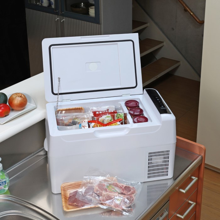 楽天市場】RELICIA 車載冷凍冷蔵庫 容量22L ブラック RLC-CF22 TOHO