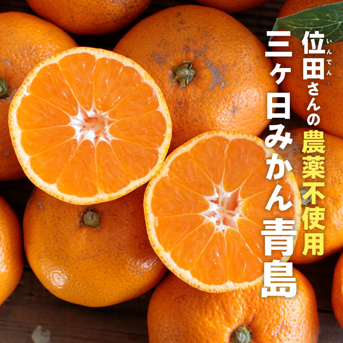 楽天市場】三ヶ日みかん［農薬不使用・化学肥料不使用・除草剤不使用