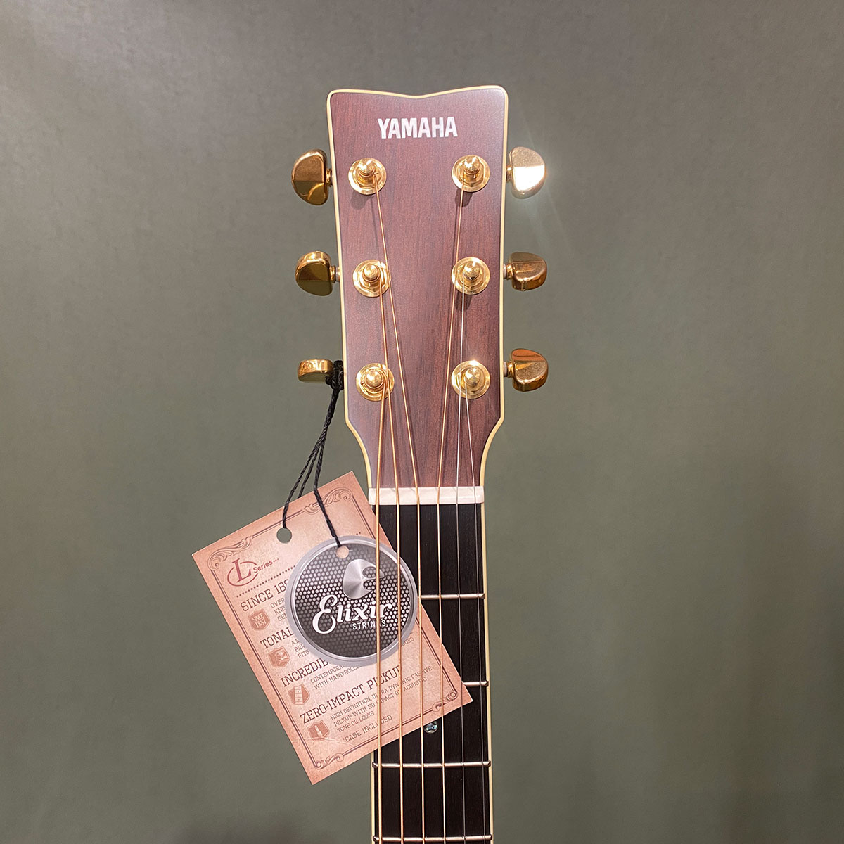 楽天市場】【新品】ヤマハ LL16 A.R.E YAMAHA LL16 A.R.E / NT