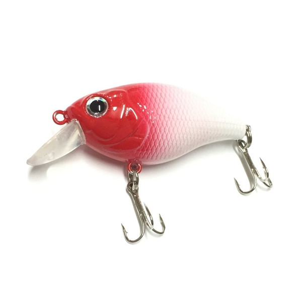 楽天市場】ルアーセット 5個 収納ケース付 クランクベイト(ハゼ