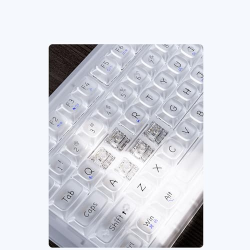 楽天市場】OUSEITECH X EWEADN V99 ゲーミングキーボード 透明