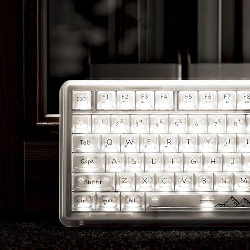 楽天市場】OUSEITECH X EWEADN V99 ゲーミングキーボード 透明