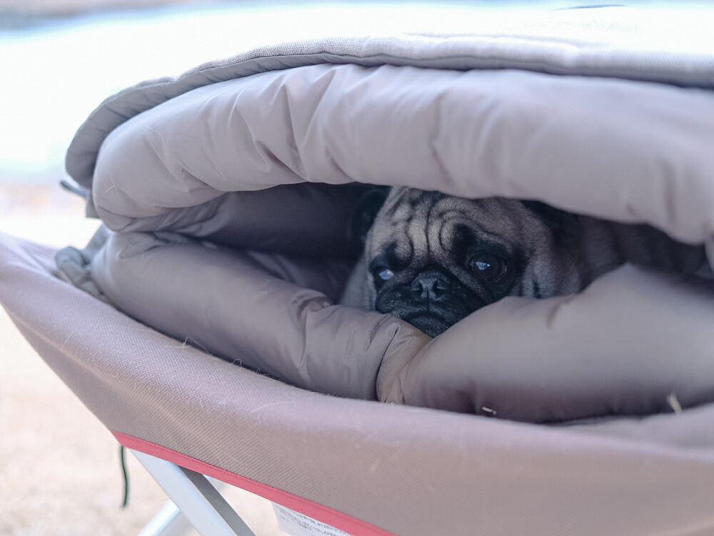 楽天市場】【5%OFF×P5倍 25日限定】【スノーピーク 公式】【永久保証付