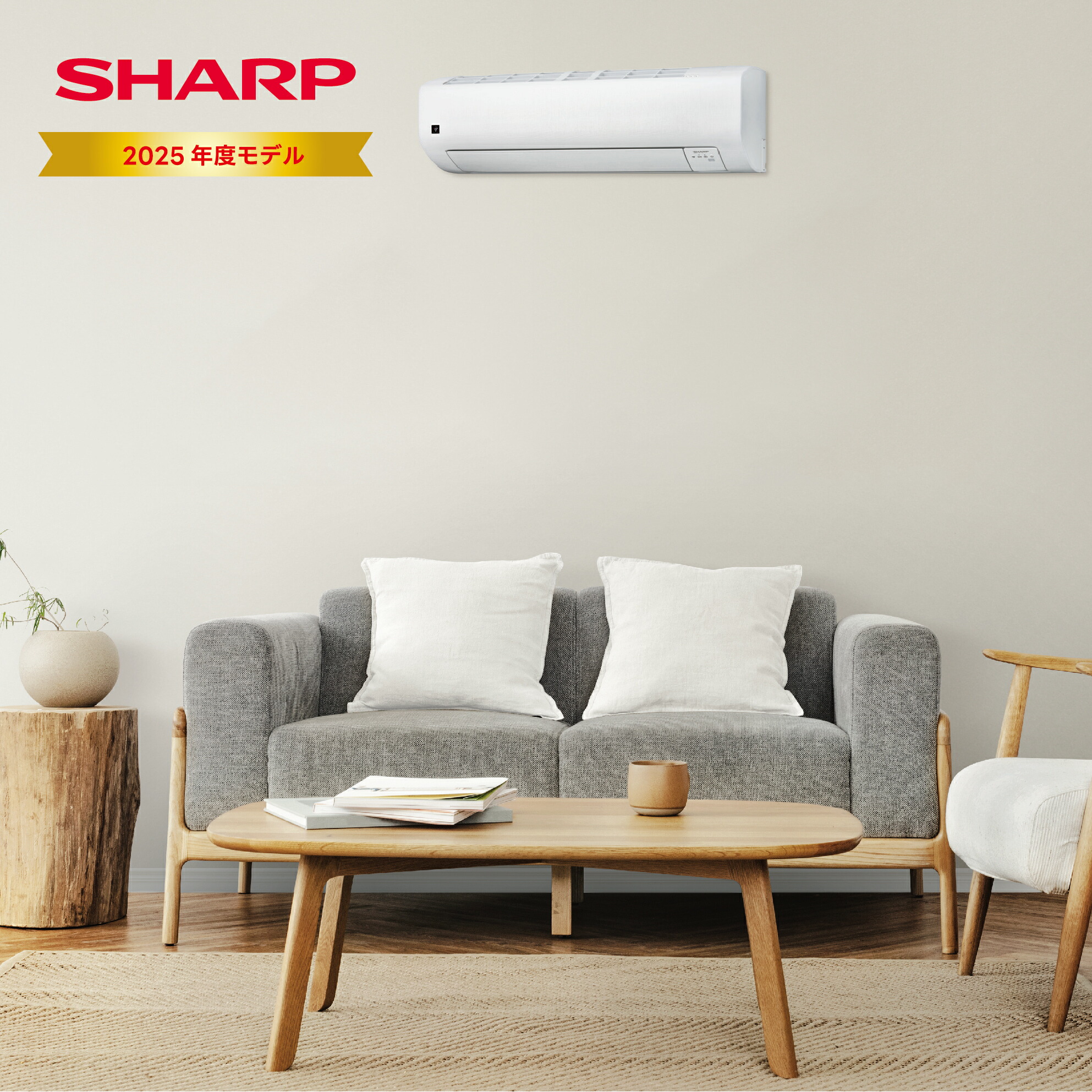 楽天市場】シャープ SHARP AY-T25DM-W DMシリーズ ルームエアコン 8畳