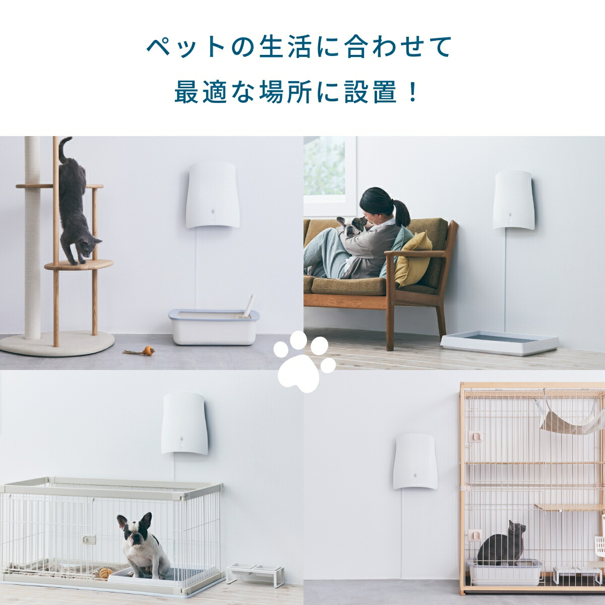 楽天市場】【SUNSTAR QAIS公認販売店】【2つ選べる特典付】サンスター