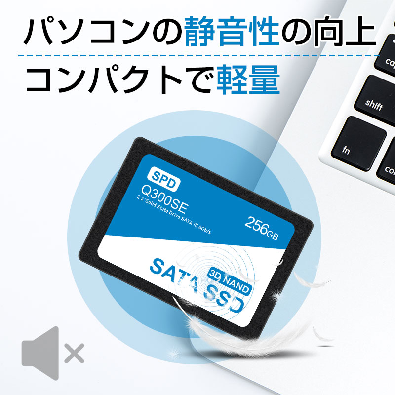 楽天市場】＼連続ランキング1位獲得／SPD SSD 256GB 【5年保証・翌日