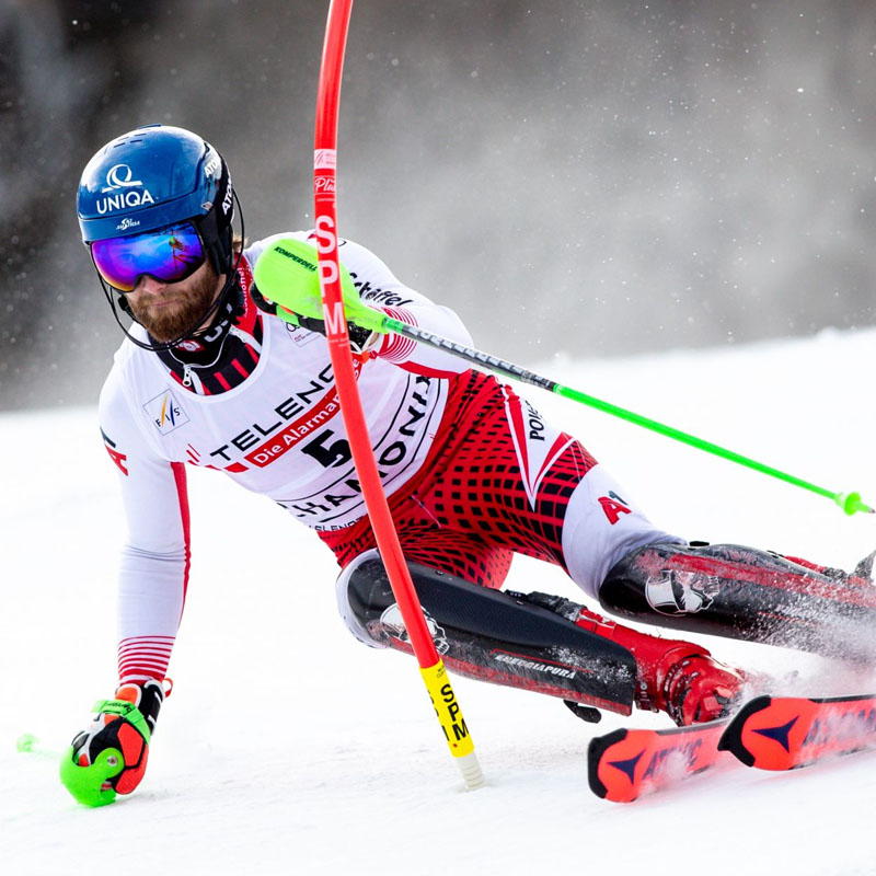 楽天市場】KOMPERDELL コンパーデル スキーポール ストック メンズ