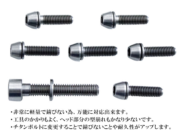 楽天市場】チタン合金 ボルト 7本 (M5×18mm P0.8) (M6×35mm P1.0