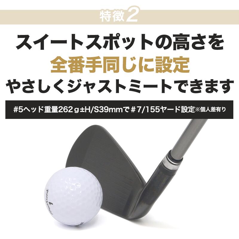 楽天市場】アイアンセット CNC 軟鉄鍛造 黒染め仕上げ キャビティ