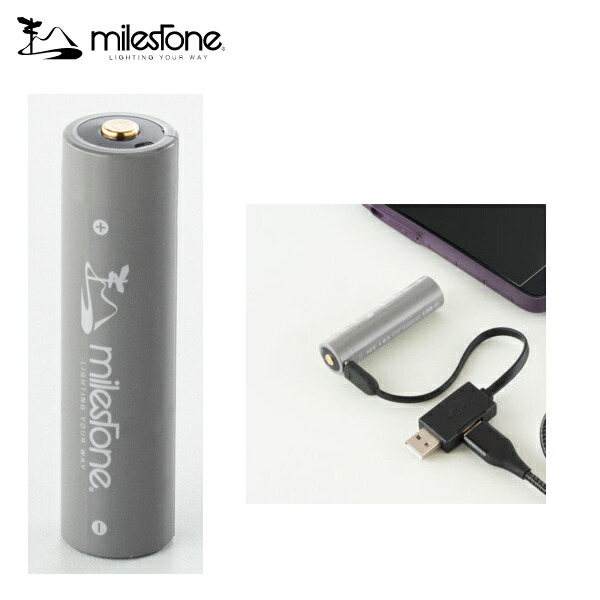 楽天市場】MilestoneマイルストーンMS-i1 “Endurance Model” : 信州