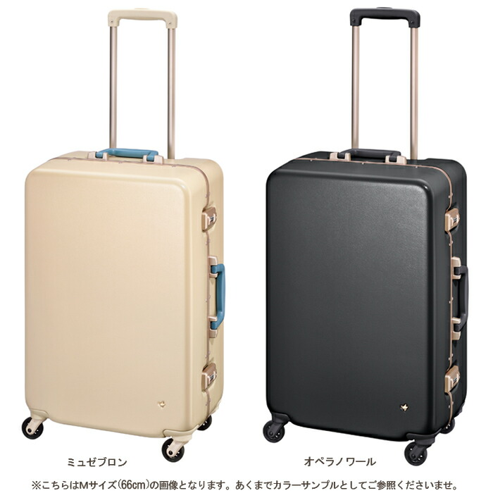 楽天市場】【SALE】【無料預入規定内サイズ】 エース(ACE)HaNT/ハント