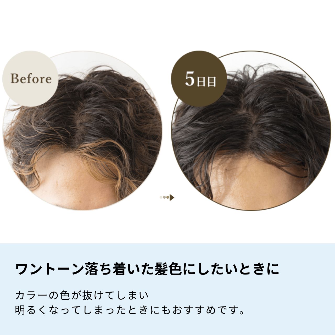 楽天市場】【 生活の木 公式 】ヘアカラー トリートメント ダーク