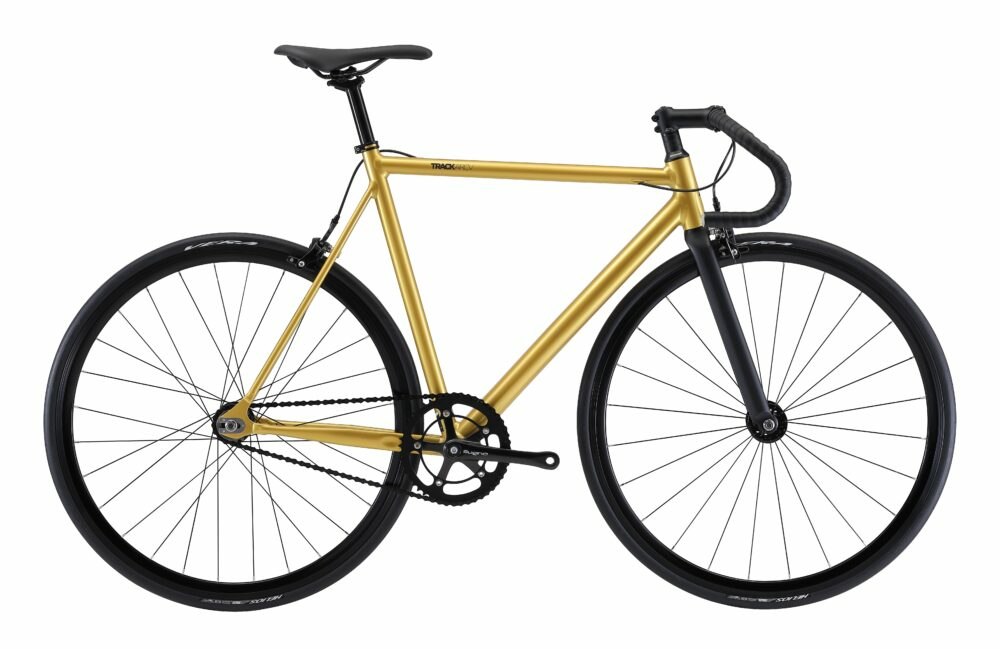 楽天市場】FUJI (フジ) TRACK ARCV (トラックアーカイブ) 2022年 完成