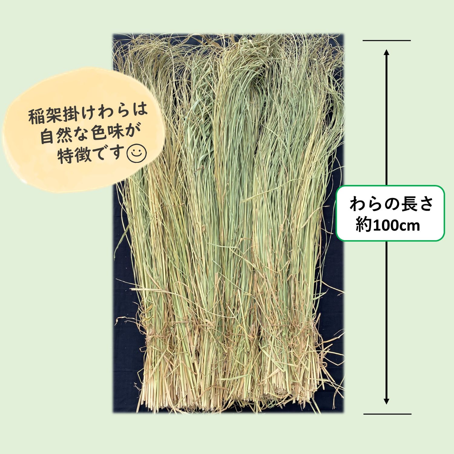 楽天市場】伊勢錦の稲架掛けわら約8kg 令和7年度産 約100cm 新潟産