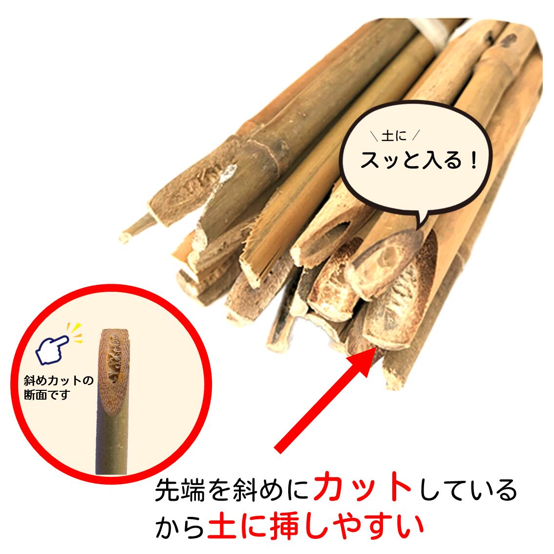 楽天市場】女竹 90cm 20本 篠竹 しの竹 竹支柱 添え木 園芸用 農業用