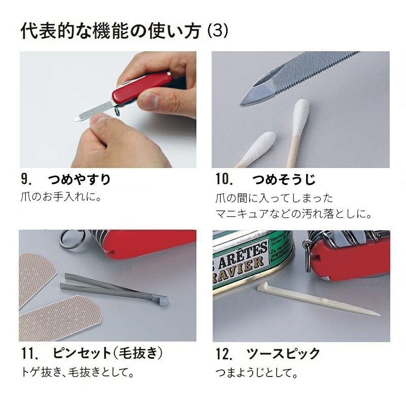 楽天市場】ビクトリノックス VICTORINOX 公式 エボリューション14SE